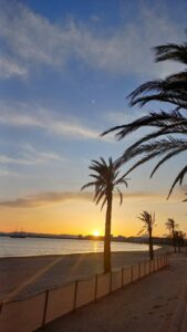Litorale con palme al tramonto